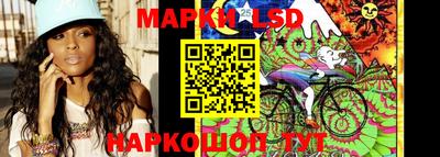 стаф Донецк