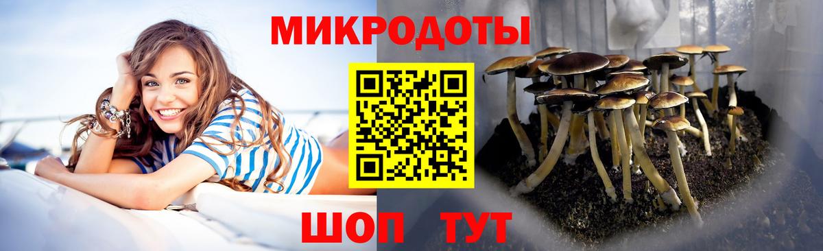 Лыткарино  Псилоцибиновые грибы ЛСД  Вход с VPN 